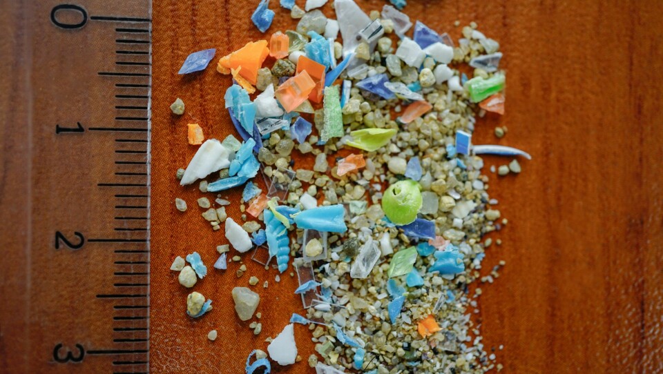 Om plastfragmenter er mikroplast, makroplast eller nanoplast, avhenger av fragmentenes størrelse. Mikroplast