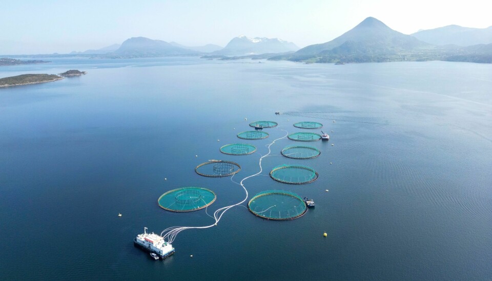 Mowi Seawater Norway AS sitt oppdrettsanlegg i havet ved Aukrasanden. Laks, regnbueørret og ørret i et oppdrettsanlegg ved Aukrasanden i Møre og Romsdal. Foto: Gorm Kallestad / NTB