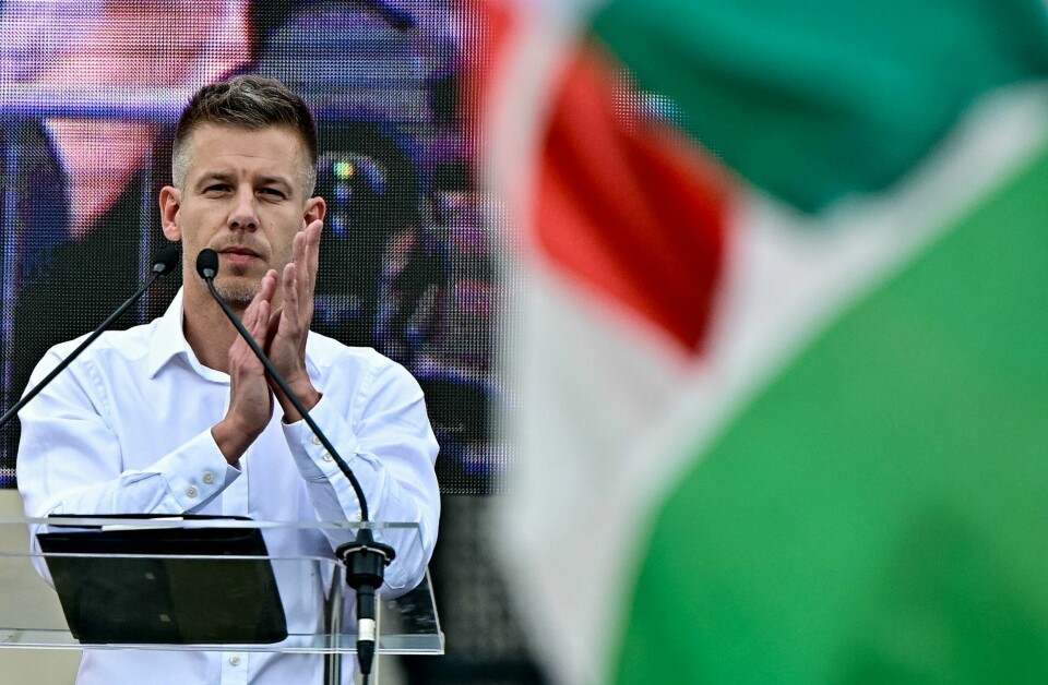 For noen er Peter Magyar nærmest en Messias-lignende skikkelse, ifølge ekspert. Peter Magyar, a lawyer and businessman formerly close to Hungary's ruling nationalist government, gestures during an anti-government protest led by him, in Budapest, Hungary, April 6, 2024. REUTERS/Marton Monus