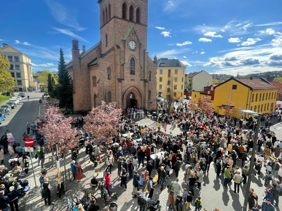 Blomsterfeiringen Hanami på Kampen, våren 2022. Blomsterfeiringen Hanami på Kampen, våren 2022.