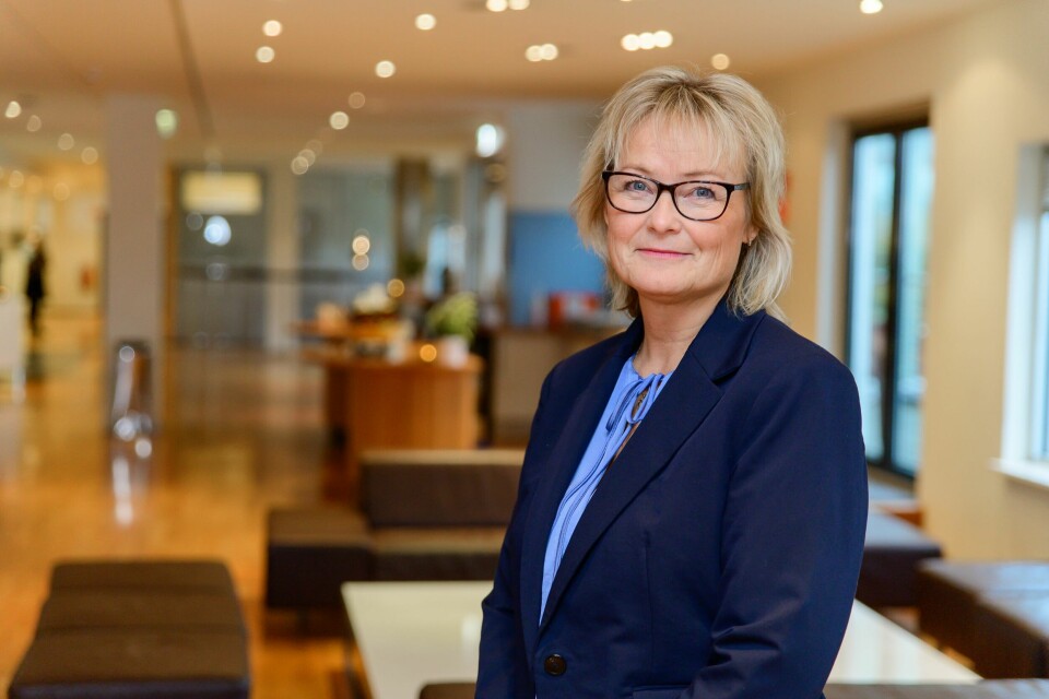 Stine Olsen er direktør i Nav Arbeid og ytelser Stine Olsen er direktør i Nav Arbeid og ytelser