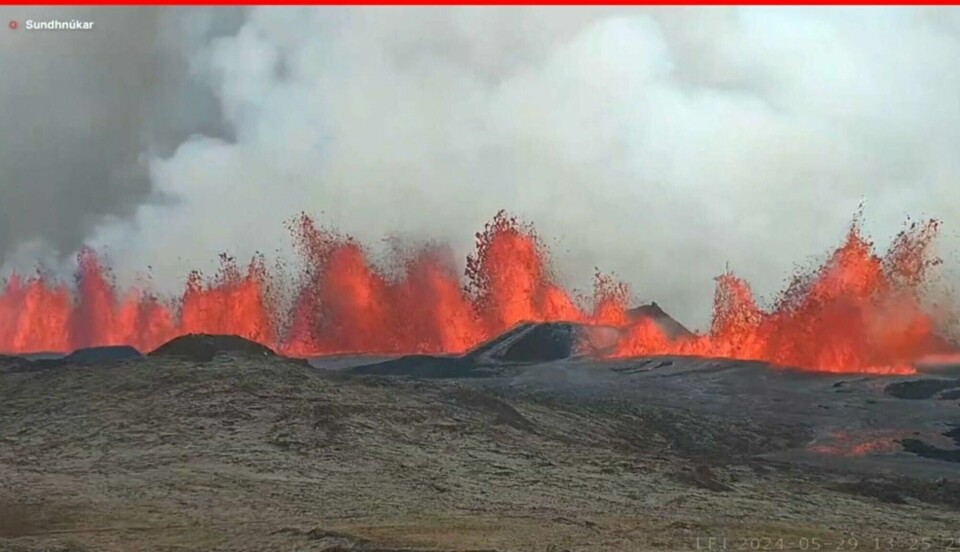 Det nye vulkanutbruddet på Reykjaneshalvøya på Island begynte onsdag ettermiddag, kun få timer etter at man valgte å evakuere bygda Grindavik. Det nye vulkanutbruddet på Reykjaneshalvøya på Island begynte onsdag ettermiddag, kun få timer etter at man valgte å evakuere bygda Grindavik.