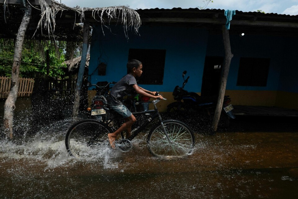 Syklister møter utfordringer verden rundt, men også når gatene er fulle av vann kan sykkelen være et egnet framkomstmiddel. Bildet er tatt i slutten av mai i La Mojana i Colombia. Syklister møter utfordringer verden rundt, men også når gatene er fulle av vann kan sykkelen være et egnet framkomstmiddel. Bildet er tatt i slutten av mai i La Mojana i Colombia.