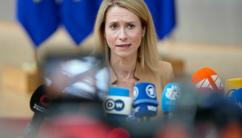 Estlands statsminister Kaja Kallas understreker at Ukraina må få støtte til å drive Russland tilbake.