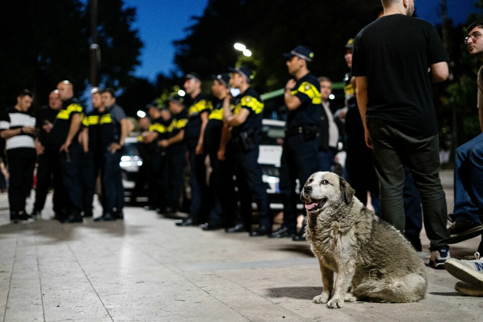 Politiet stiller mannsterke på hver protest, i tilfelle de må kontrollere folkemengden. Politiet stiller mannsterke på hver protest, i tilfelle de må kontrollere folkemengden.