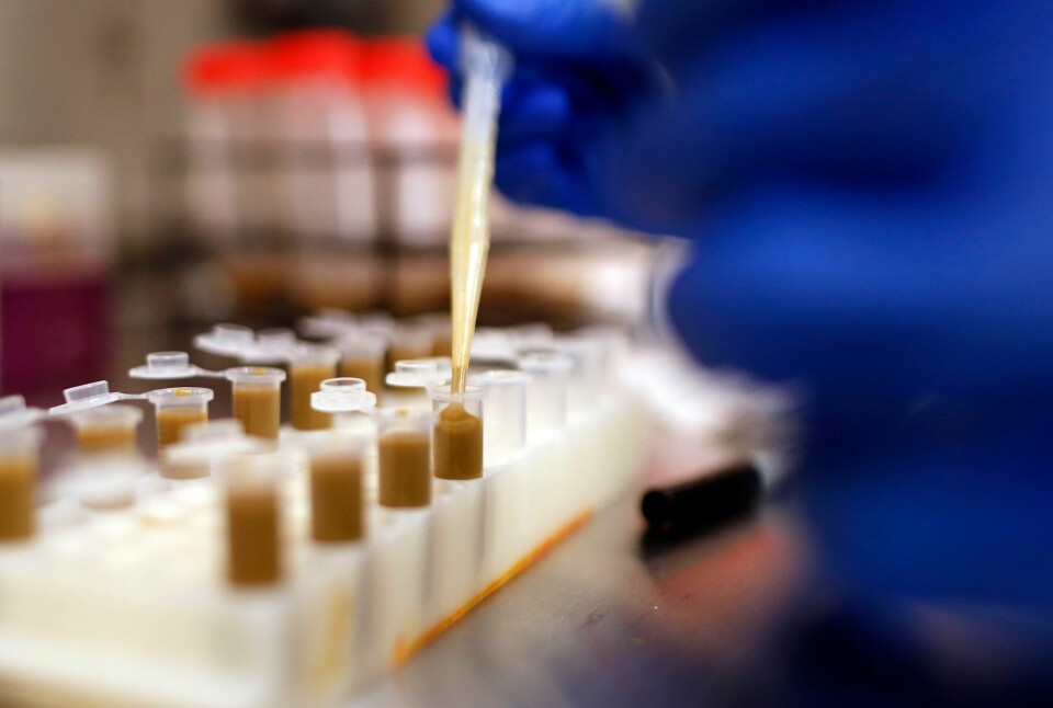 Spredning av bakterien Clostridium har ført til en lang rekke innleggelser ved et sykehus i Moskva. Bakterien forårsaker en alvorlig form for matforgiftning. Illustrasjonsfoto. Spredning av bakterien Clostridium har ført til en lang rekke innleggelser ved et sykehus i Moskva. Bakterien forårsaker en alvorlig form for matforgiftning. Illustrasjonsfoto.