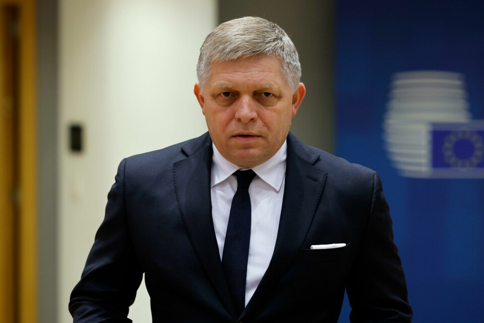Slovakias regjering med statsminister Robert Fico i spissen anklager forgjengerne for sabotasje og mulig forræderi fordi de donerte kampfly og luftvern fra det slovakiske forsvaret til Ukraina. Slovakias regjering med statsminister Robert Fico i spissen anklager forgjengerne for sabotasje og mulig forræderi fordi de donerte kampfly og luftvern fra det slovakiske forsvaret til Ukraina. Foto: AP / NTB