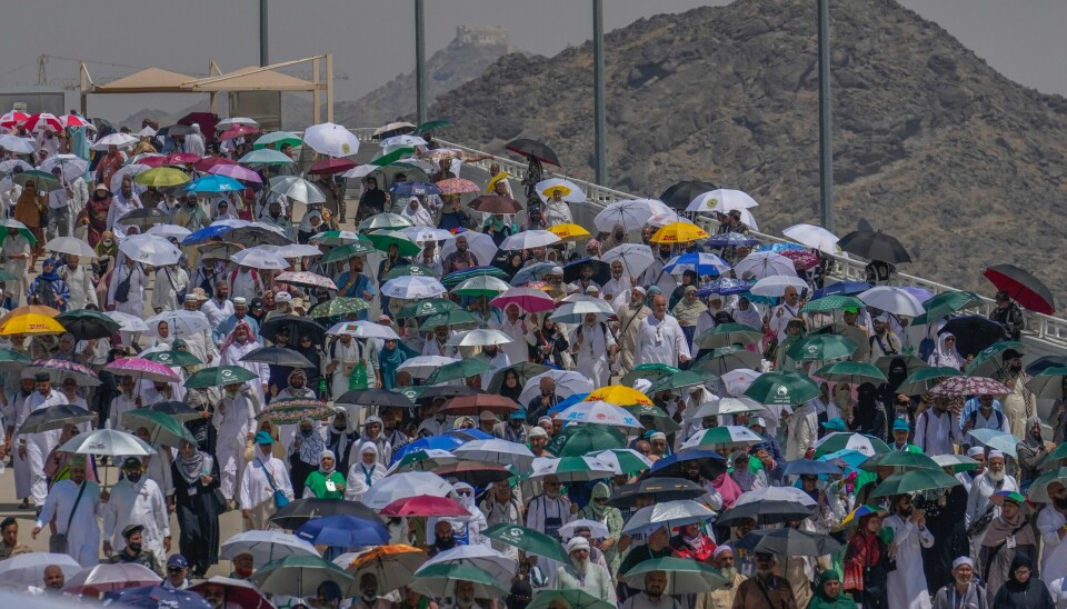 Muslimske pilegrimer bruker paraplyer for å skjerme seg for den stekende sola i Mina ved Mekka under årets hajj. Det er meldt om over 1100 dødsfall, mange settes i sammenheng med varmen. Bildet viser muslimske pilegrimer som skjermer seg mot den stekende solen i Mina, nær den hellige byen Mekka på dette bildet tatt tirsdag. Det er svært varmt i Saudi-Arabia, og over 300 pilegrimer skal ha dødd av heteslag, ifølge arabiske diplomater. Foto: Rafiq Maqbool / AP / NTB