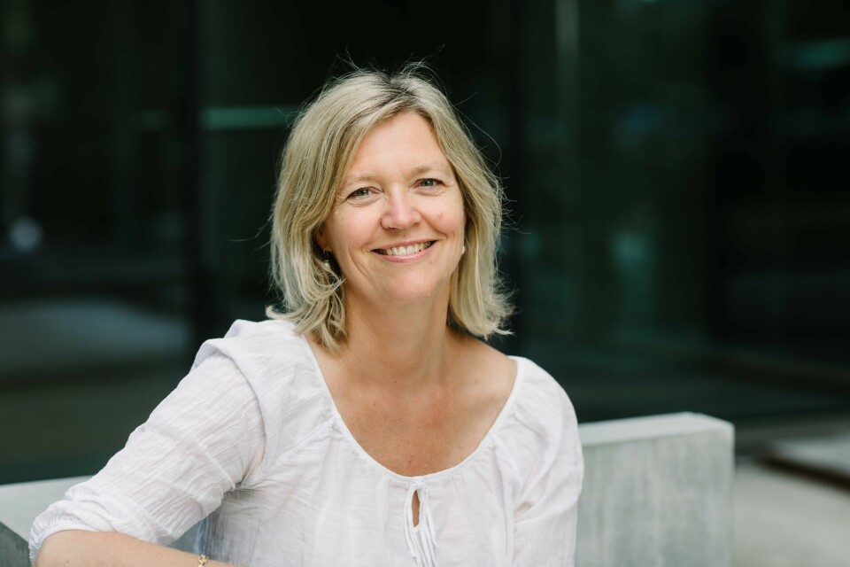 Direktøren for arbeidsliv i NHO oppfordrer alle bedrifter å ta sommerpatruljen godt imot. Direktøren for arbeidsliv i NHO oppfordrer alle bedrifter å ta sommerpatruljen godt imot.