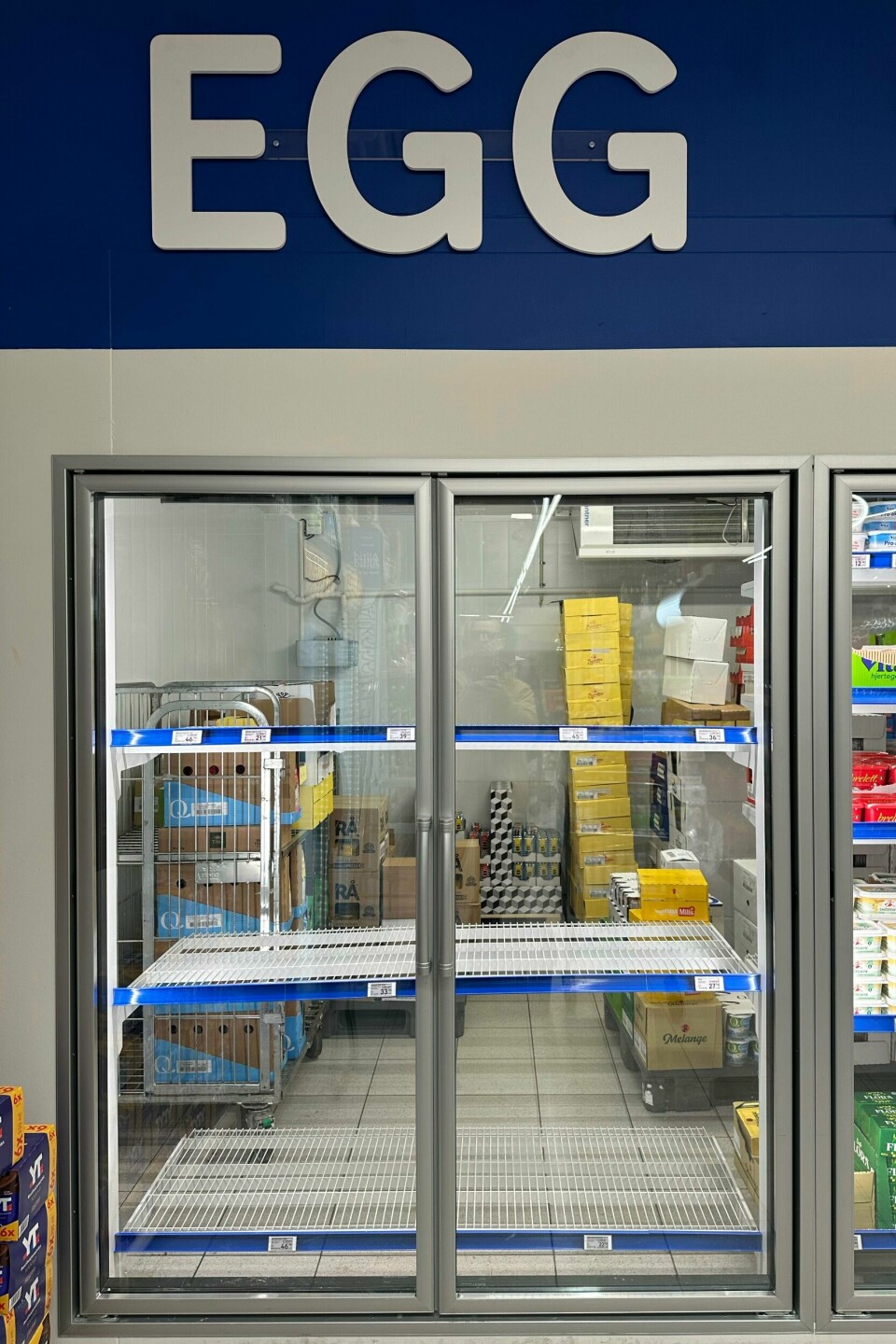 Tomme egghyller har blitt et vanlig syn i flere butikker det siste året. Det importeres rekordstore mengder egg fra utlandet for å dekke opp for eggmangelen. Tomme egghyller har blitt et vanlig syn i flere butikker det siste året. Det importeres rekordstore mengder egg fra utlandet for å dekke opp for eggmangelen. Foto: Cornelius Poppe / NTB