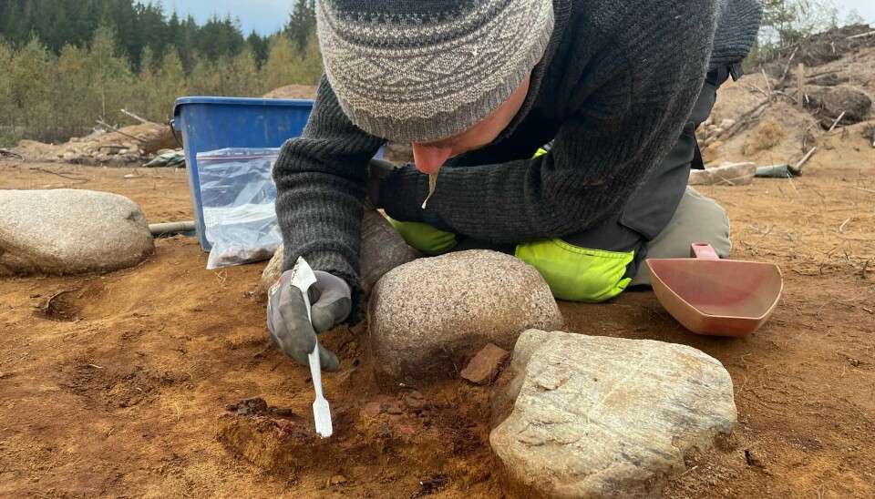 Jakob Kile-Vesik i arbeid i et stort gravfelt utenfor Fredrikstad, der arkeologer har funnet 40 sirkelformede steinformasjoner med kremerte benrester, de aller fleste fra barn, plassert i midten. Arkeolog Magnus Tangen sikrar materiale som kan gi informasjon. Alt skal analyserast for å gi kunnskap om korleis folk levde. Etter undersøkingane blei utgravingsfeltet fjerna. Foto: Kulturhistorisk museum / handout / NTB / NPK