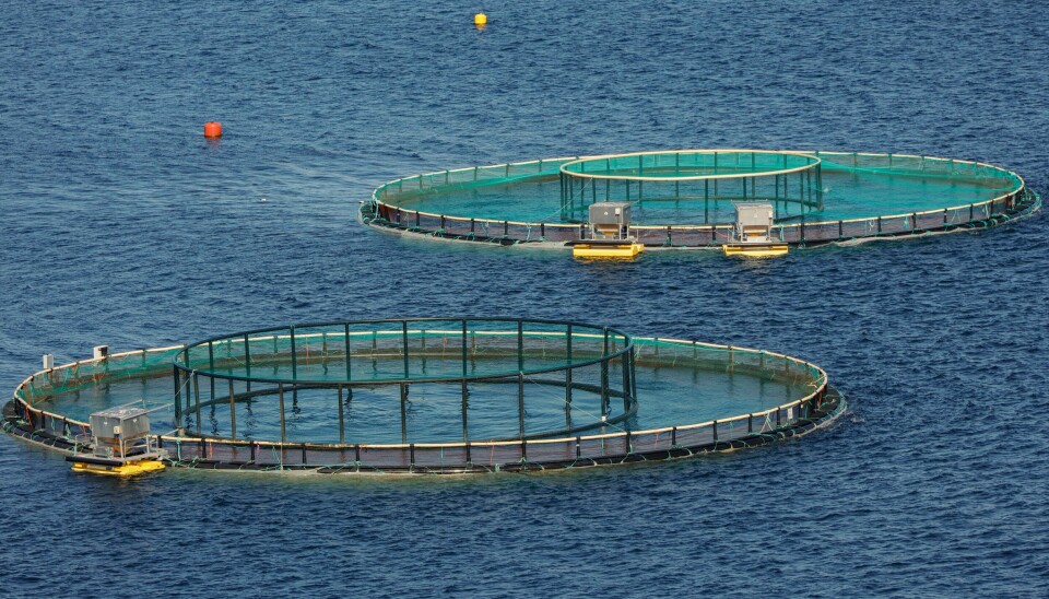 Tirsdag avsluttet Nærings- og fiskeridepartementet auksjonen av nye tillatelser til oppdrett av laks, ørret og regnbueørret. Bildet av merdene er tatt i Romsdalsfjorden mellom Vikebukt og Molde i Møre og Romsdal. Regjeringspartiene er enige med Venstre og Pasientfokus om lakseskatten. Foto: Paul Kleiven / NTB
