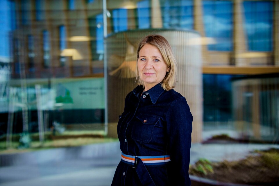 direktør for mottak og retur i UDI, Borghild Fløtre. Innan 2023 er omme vil Noreg truleg ha teke imot rundt 45.000 flyktningar, derav 40.000 ukrainarar. Direktør for Mottak og retur i UDI, Borghild Fløtre. No ønskjer Utlendingsdirektoratet å auke kapasiteten med inntil 7.500 nye ordinære mottaksplassar, seier direktør for Mottak og Retur i UDI, Borghild Fløtre. Foto: Stian Lysberg Solum / NTB / NPK