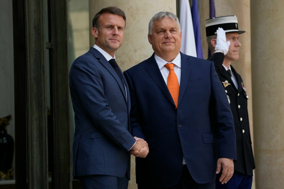 Frankrikes president Emmanuel Macron og Ungarns statsminiter Viktor Orban kan begge sette sitt preg på Europa fra neste uke. .
