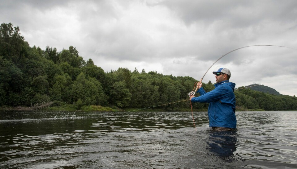 Forrige uke stengte Miljødirektoratet laksefisket i 33 elver som følge av rapporter om svært lite laks hittil i år. Nå er det ventet en ny vurdering 5. juli. Forrige uke stengte Miljødirektoratet laksefisket i 33 elver som følge av rapporter om svært lite laks hittil i år. Foto: Terje Bendiksby / NTB