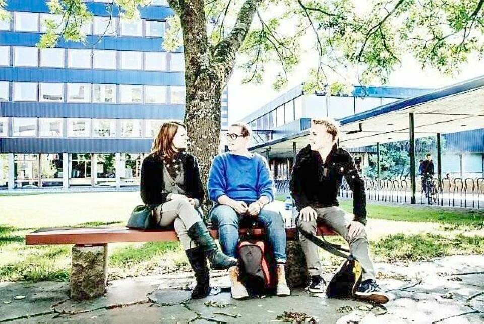 Sunniva Øyen, Marie Samuelsen og Edvard Berntzen mener det er mulig å tenke utenfor boksen når det gjelder jobbmuligheter.