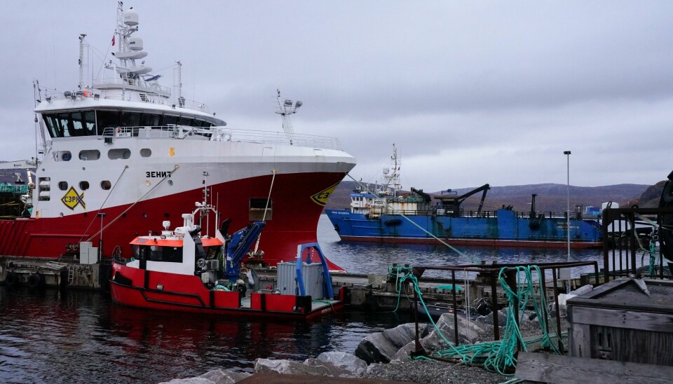 Russiske fiskebåter ved kai i Kirkenes. Den mindre båten i forgrunnen er norsk. Bildet viser russiske fiskebåter ved kai i Kirkenes. Den mindre båten i forgrunnen er norsk.