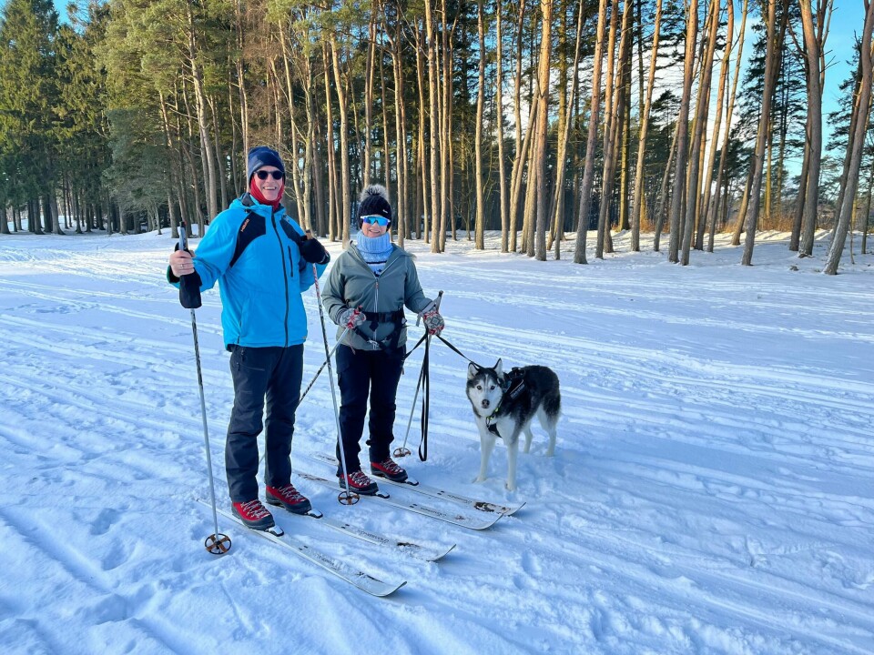 Pål Jaghø, Marianne Skibeli og den sibirske huskyen Hugo koser seg i skiløypa ved Stokkavatnet i Stavanger. Pål Jaghø, Marianne Skibeli og den sibirske huskyen Hugo koser seg i skiløypa ved Stokkavatnet i Stavanger.