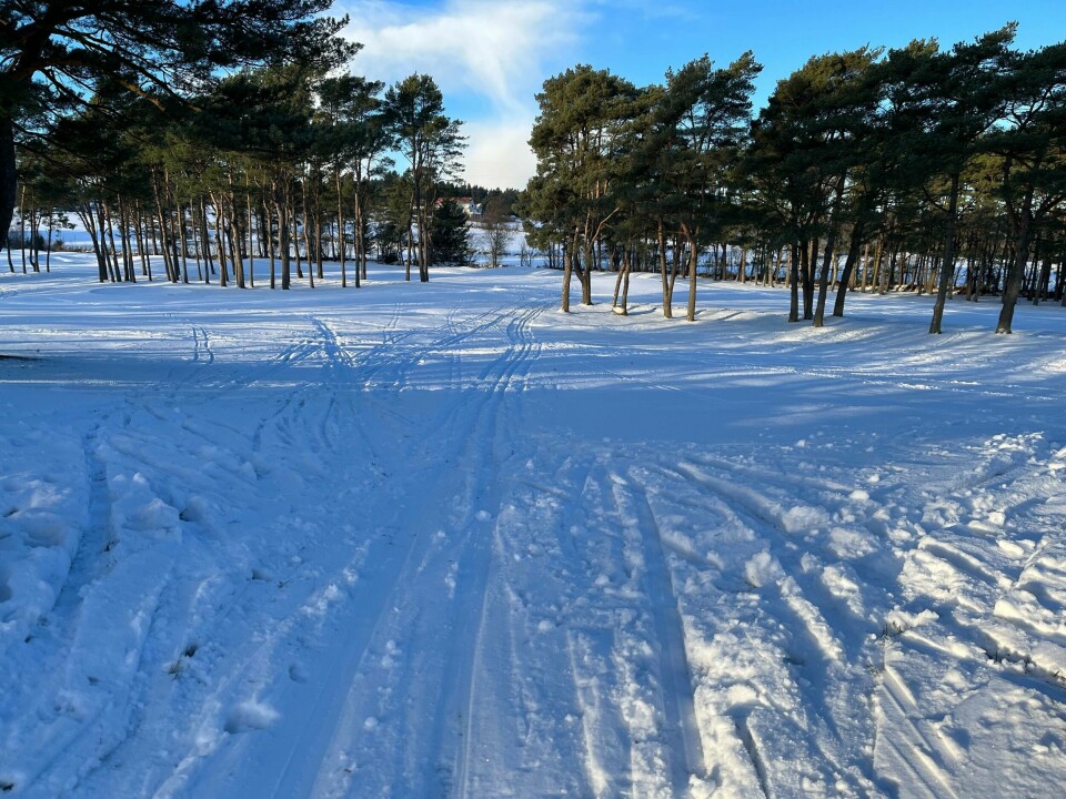Litt gress i sporet må du regne med om du legger skituren til golfbanen ved Stokkavatnet. Men stein i sporet er det heldigvis ikke. Ikke spander de beste skiene. Litt gress i sporet må du regne med om du legger skituren til golfbanen ved Stokkavatnet. Men stein i sporet er det heldigvis ikke. Ikke spander de beste skiene.