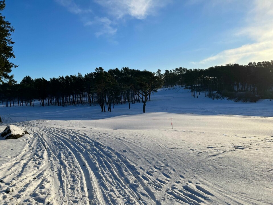 Norsk Folkehjelp har kjørt skispor på golfbanen i Stavanger. Følger du det ytre sporet en hel runde, skal det være cirka tre kilometer. Norsk Folkehjelp har kjørt skispor på golfbanen i Stavanger. Følger du det ytre sporet en hel runde, skal det være cirka tre kilometer.