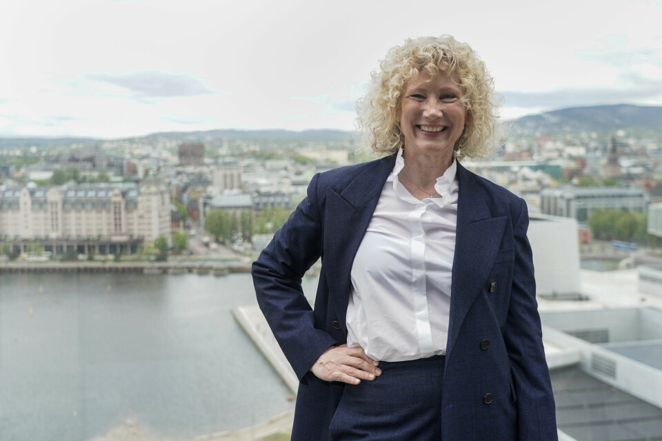 Munchmuseets direktør, Tone Hansen. Munchmuseets direktør, Tone Hansen.