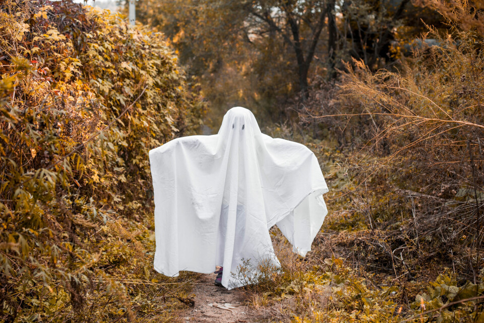 Skulle halloween komme veldig brått på i år, så ikke glem den gode gamle slageren «laken med hull til øynene». Skulle halloween komme veldig brått på i år, så ikke glem den gode gamle slageren «laken med hull til øynene».