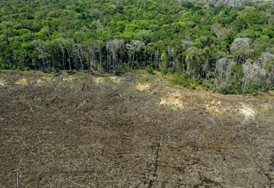 Dette bildet fra 2020 viser et avskoget område av regnskogen i Brasil. Avskogingen økte med 73 prosent under president Bolsonaro. Dette bildet fra 2020 viser et avskoget område av regnskogen i Brasil. Avskogingen økte med 73 prosent under president Bolsonaro.