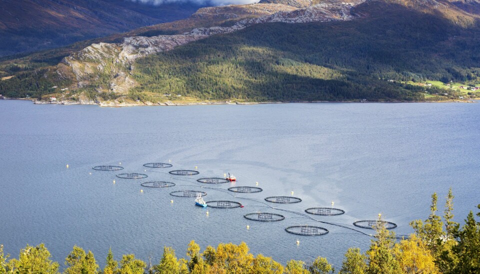 Regjeringen foreslår å innføre grunnrenteskatt på fiskeoppdrett. No skal oppdrettarane også betale grunnrenteskatt, foreslår regjeringa.Foto: Gorm Kallestad / NTB/ NPK