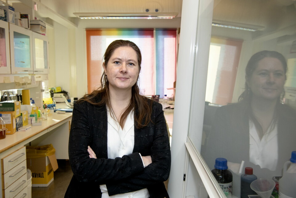 Gunnveig Grødeland, forsker innen vaksineutvikling og immunologi ved Universitetet i Oslo. Gunnveig Grødeland, forsker innen vaksineutvikling og immunologi ved Universitetet i Oslo.