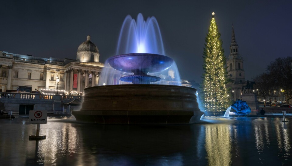 Det norske juletreet lyser opp Trafalgar Square torsdag. Det norske juletreet lyser opp Trafalgar Square torsdag. Foto: Kin Cheung / AP / NTB