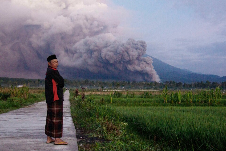 En mann følger med på utbruddet på vulkanen Semeru på øya Java søndag. En mann følger med på utbruddet i vulkanen Semeru på øya Java søndag. Foto: AP / NTB