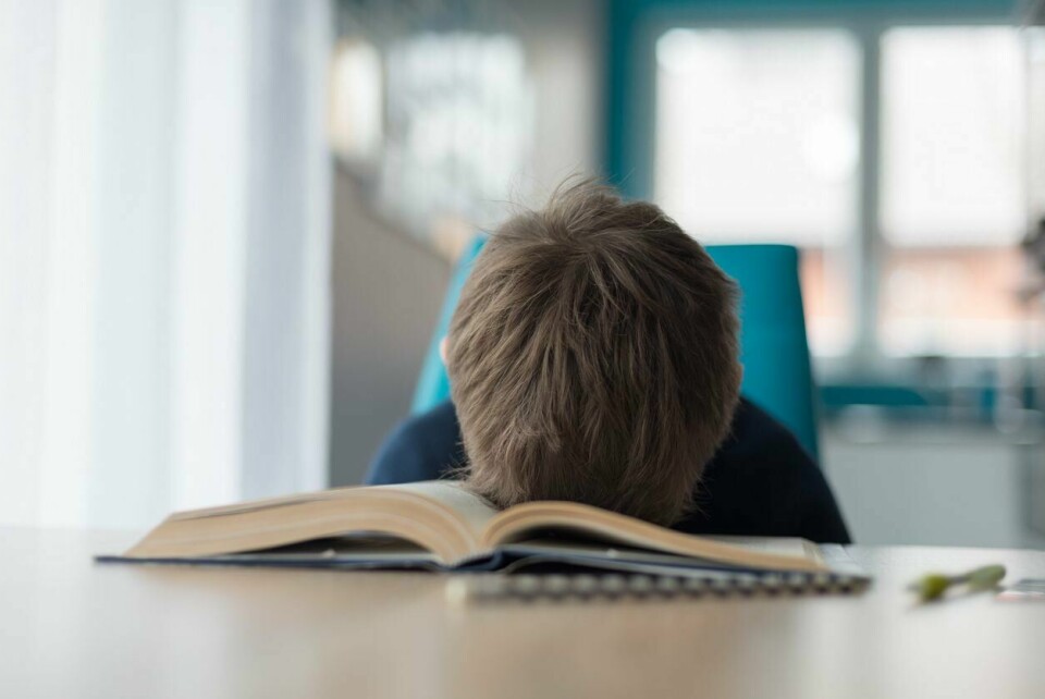 Jeg kan ikke melde oss helt ut heller. Sønnen min skal nemlig leve i dette systemet i all overskuelig fremtid, skriver Pia von Hirsch om en prestasjonsfokusert skolehverdag. (Illustrasjon)