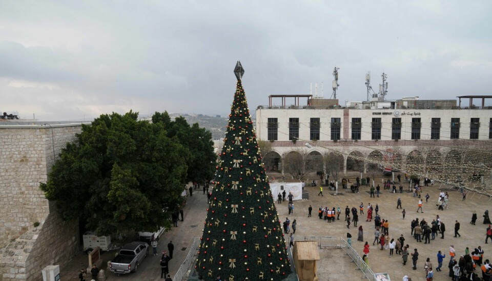 Ved siden av Fødselskirken rager juletreet over Krybbeplassen i Betlehem. Dit kommer kirkeleder og andre kristen og tilreisende for å feire jul på stedet der Jesus ble født. Ved siden av Fødselskirken rager juletreet over Krybbeplassen i Betlehem. Dit kommer kirkeleder og andre kristen og tilreisende for å feire jul på stedet der Jesus ble født. Foto: Mahmoud Illean / AP / NTB