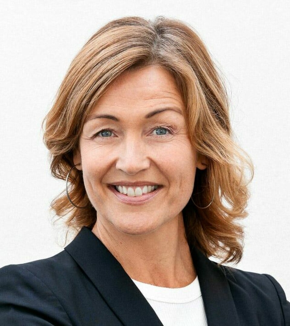 Kristin Danielsen er direktør i Kulturdirektoratet. Kristin Danielsen