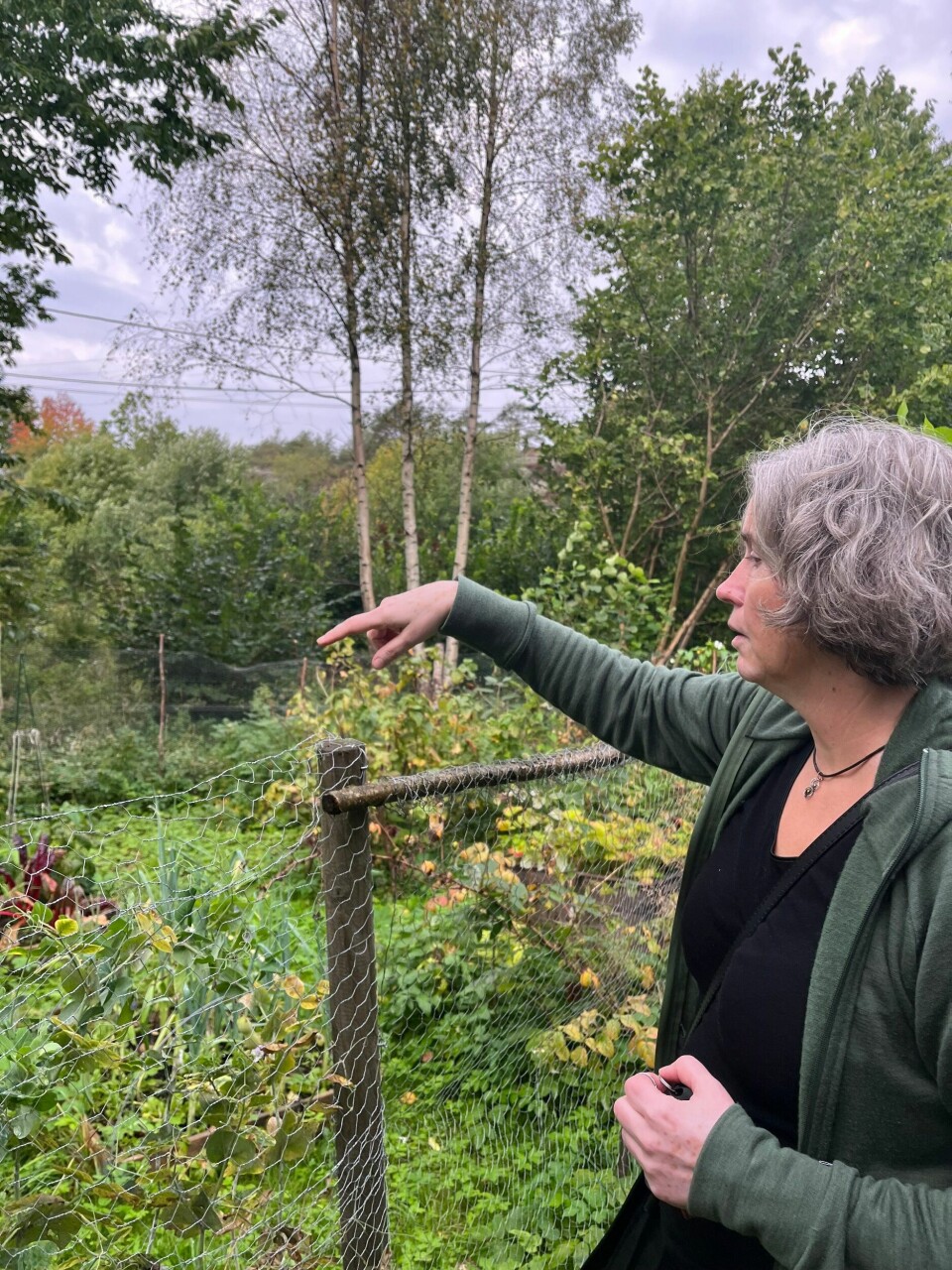 Erika Nesten har fått matauk inn med morsmelka. I hagen dyrker hun alt fra bær til beter. Erika Nesten har fått matauk inn med morsmelka. I hagen dyrker hun alt fra bær til beter.