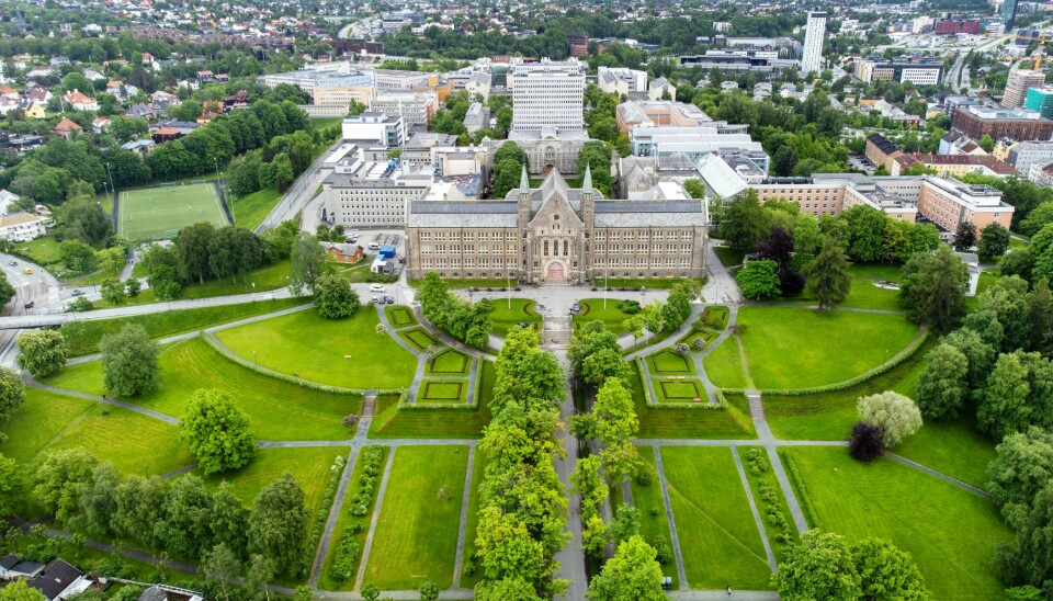 Dronebilde av NTNU, Norges teknisk-naturvitenskapelige universitet i Trondheim. Dronebilde av NTNU, Norges teknisk-naturvitenskapelige universitet i Trondheim. Illustrasjonsfoto: Gorm Kallestad / NTB