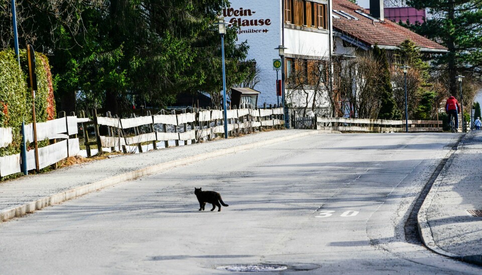 Tør du krysse gaten etter at denne svarte katten har passert?