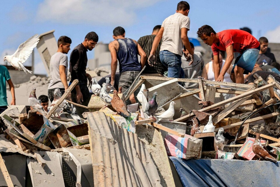 Vi trenger flere israelere som forstår at vold avler vold, og vi trenger flere forsvarere av Palestinas sak som klarer å ta uforbeholdent avstand fra Hamas sine metoder og ideologi, skriver Jonas Jakobsen. Bildet viser fortvilte mennesker som onsdag lette etter overlevende i ruinene av en bygning i Khan Yunis sør på Gaza-stripen. Gaza, Khan Yunis