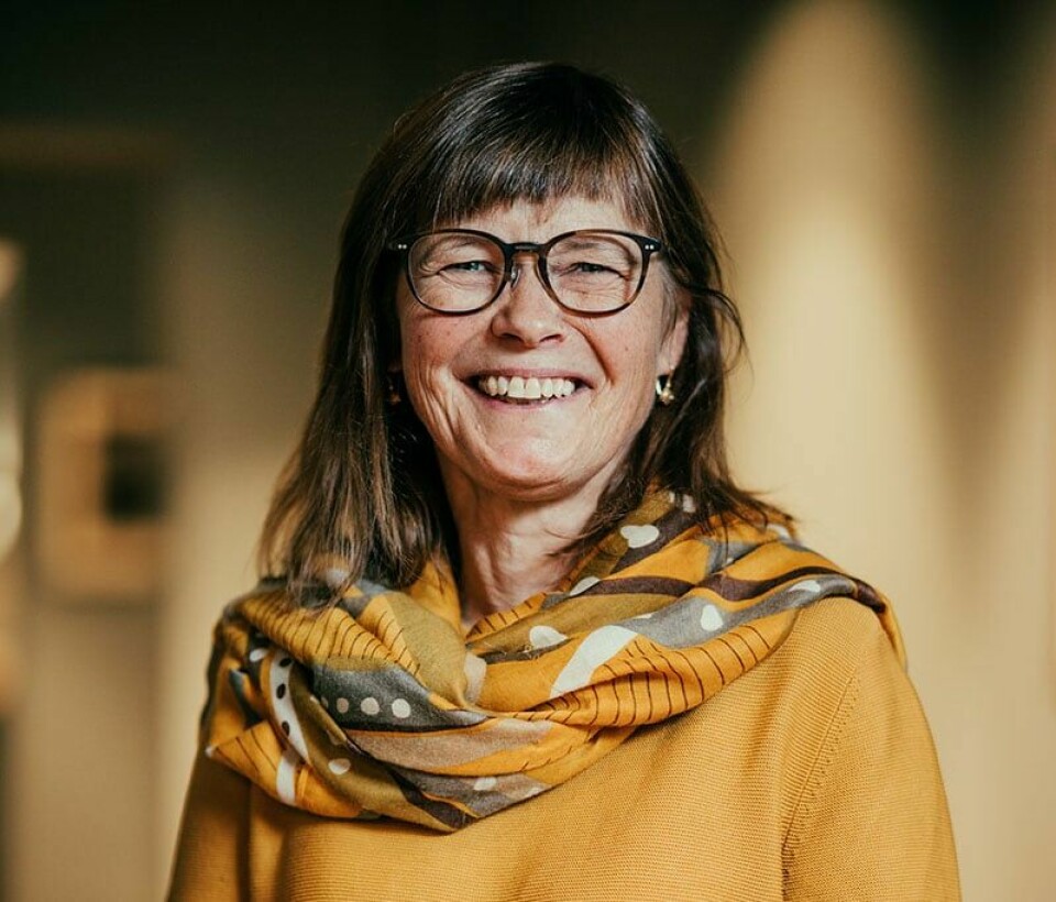 Elisabeth Ege er direktør i Akan Elisabeth Ege er direktør i Akan