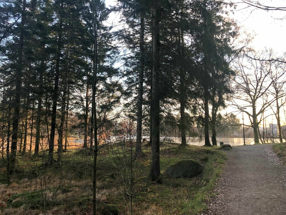 Turområdene rundt Vannassen stenges for ferdsel denne uken - og holdes stengt i minst ett år. Årsaken er at demningene rundt dammen må oppgraderes. Det ble funnet en død mann i Vannassen lørdag.