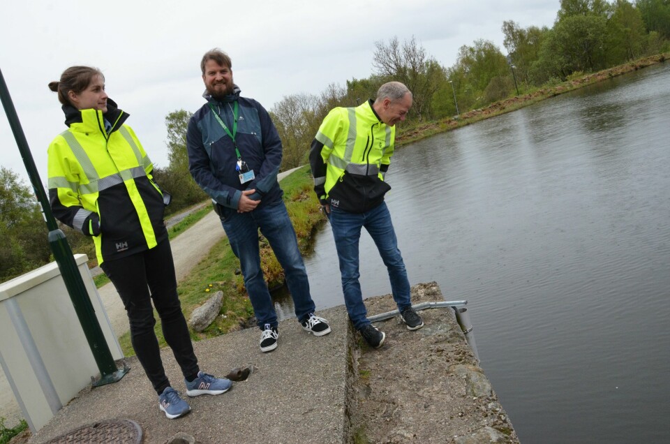 Vegard Ankarstrand, naturforvalter i Stavanger kommune (t.h), Linn Marie Flølo i Idrett og utemiljø og Terje Rygh fra smartbyavdelingen i Stavanger kommune på befaring i Vannassen i vår. Vegard Ankarstrand, naturforvalter i Stavanger kommune, kikker ned på måleren som gir beskjed dersom vannstanden blir for høy i Vannassen. Til vinteren skal vannet tappes ut og demningene skal forsterkes. Det kommer til å være anleggsarbeid rundt Vannassen fram til 2025. Til venstre står Linn Marie Flølo i Idrett og utemiljø og Terje Rygh fra smartbyavdelingen i Stavanger kommune.