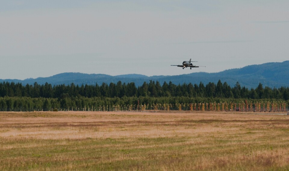 Ved Rygge flyplass har Forsvarsbygg funnet mange fremmede arter, særlig hagelupin og kanadagullris, men også noe parkslirekne. Planen til Forsvarsbygg er i første omgang å bekjempe parkslirekne der det er størst fare for videre spredning. Ved Rygge flyplass har Forsvarsbygg funnet mange fremmede arter, særlig hagelupin og kanadagullris, men også noe parkslirekne. Planen til Forsvarsbygg er i første omgang å bekjempe parkslirekne der det er størst fare for videre spredning.