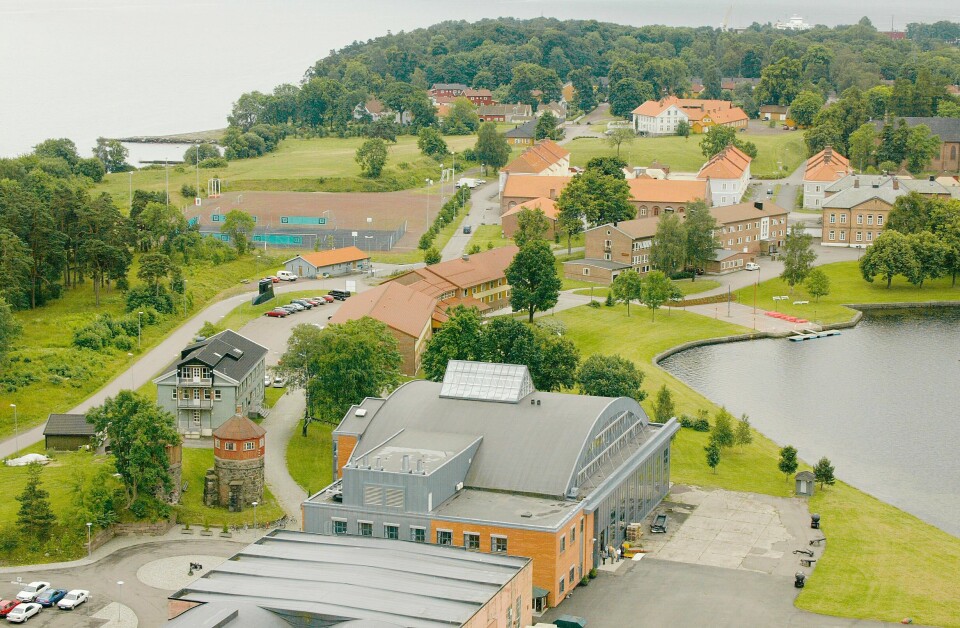 Både i fjor og i år har Forsvarsbygg fjernet fremmede arter fra Karljohansvern i Horten. Der er det funnet blant annet parkslirekne, rynkerose, ulike mispelarter, hagelupin, krypfredløs, gravmyrt, kanadagullris, russekål og gullregn. Både i fjor og i år har Forsvarsbygg fjernet fremmede arter fra Karljohansvern i Horten. Der er det funnet blant annet parkslirekne, rynkerose, ulike mispelarter, hagelupin, krypfredløs, gravmyrt, kanadagullris, russekål og gullregn.
