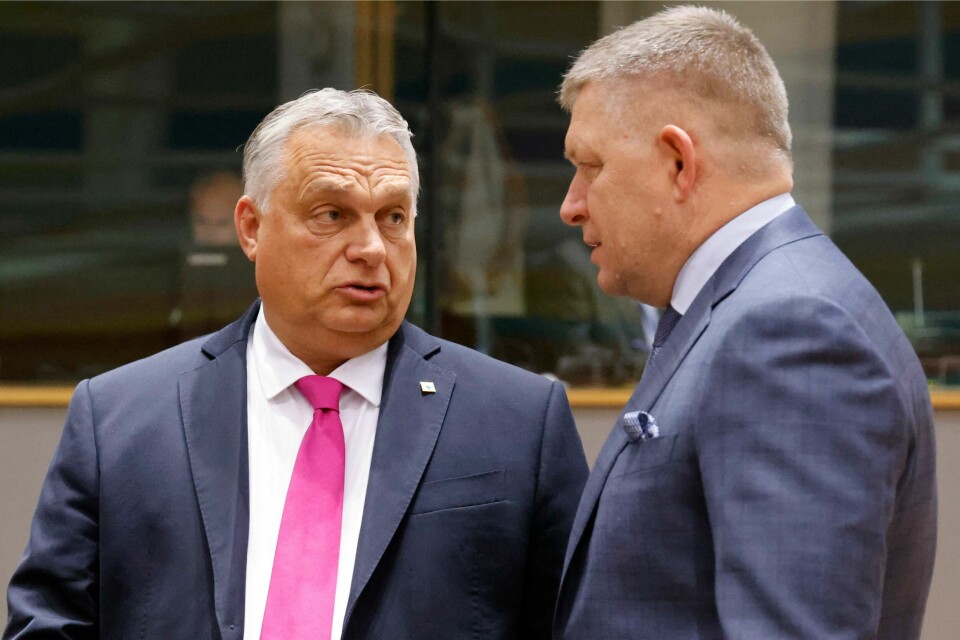 Viktor Orban i samtale med Slovakias statsminister Robert Fico. Hungary's Prime Minister Viktor Orban (L) speaks with Slovakia's Prime Minister Robert Fico prior to the start of a EU leaders Summit at The European Council Building in Brussels on October 26, 2023. EU leaders will debate starting October 26, 2023, in a two day summit in Brussels, for a call for humanitarian 'pauses' in Israel's war with Hamas, as the bloc grapples with another conflict on its fringes alongside Russia's invasion of Ukraine. (Photo by Ludovic MARIN / AFP)