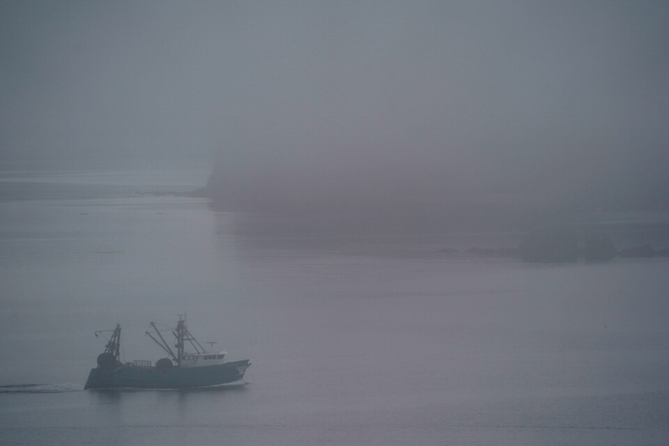 En båt som kan brukes til tråling, går ut på havet fredag 23. juni 2023, nær Kodiak, Alaska. (AP Photo/Joshua A. Bickel) En båt som kan brukes til tråling, går ut på havet fredag 23. juni 2023, nær Kodiak, Alaska.