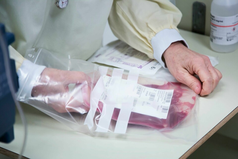 Bildet viser helsepersonell som er i ferd med å foreta en stamcelletransplantasjon ved Haukeland universitetssykehus. Bildet viser helsepersonell som er i ferd med å foreta en stamcelletransplantasjon ved Haukeland universitetssykehus.