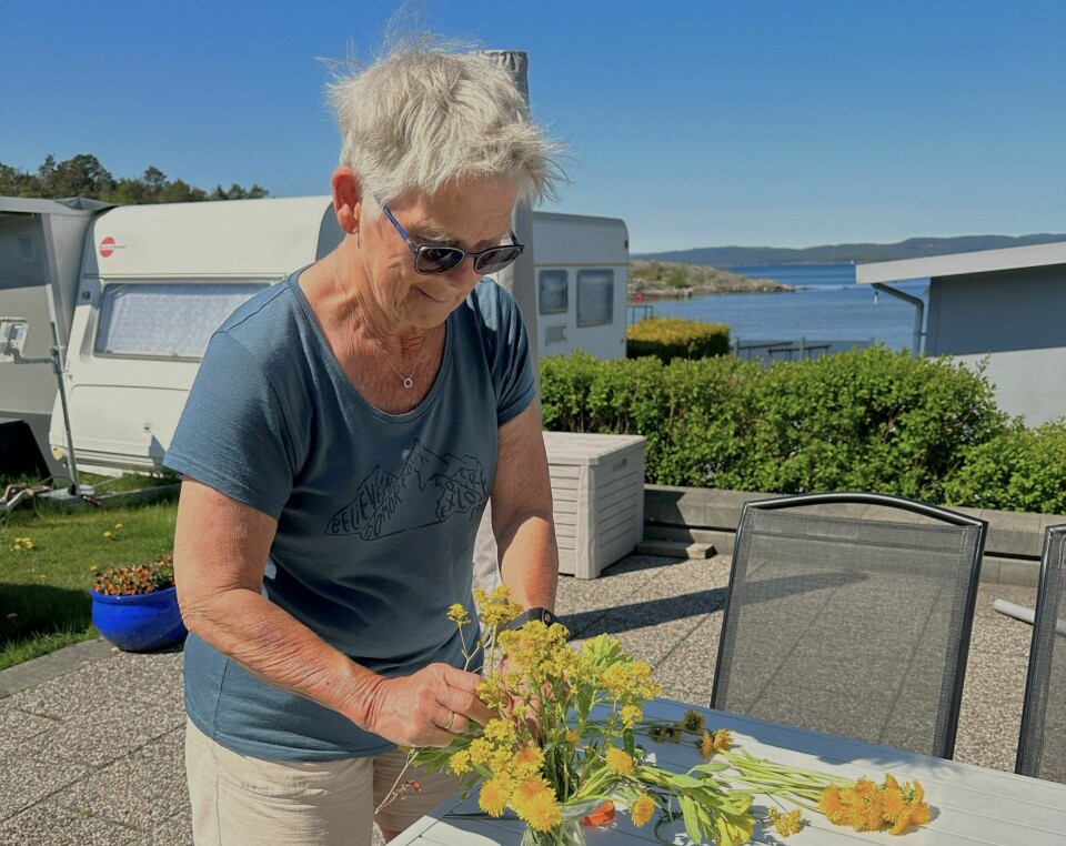 Anemarie Alnes er utdannet lærer i håndarbeid og biologi. Eldre dame på camping.