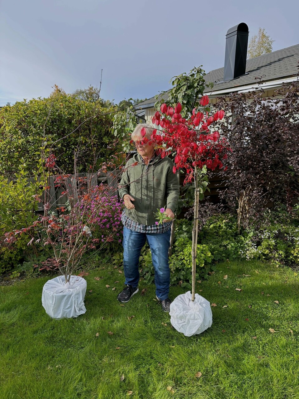 Alnes kjøper trær i stedet for småplanter. Anemarie Alnes mellom to trær fra gartneren.