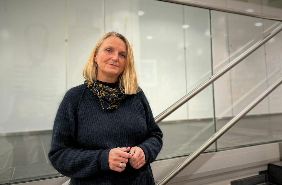 Anne Kristin Bruns (KrF). Anne Kristin Bruns (Krf)