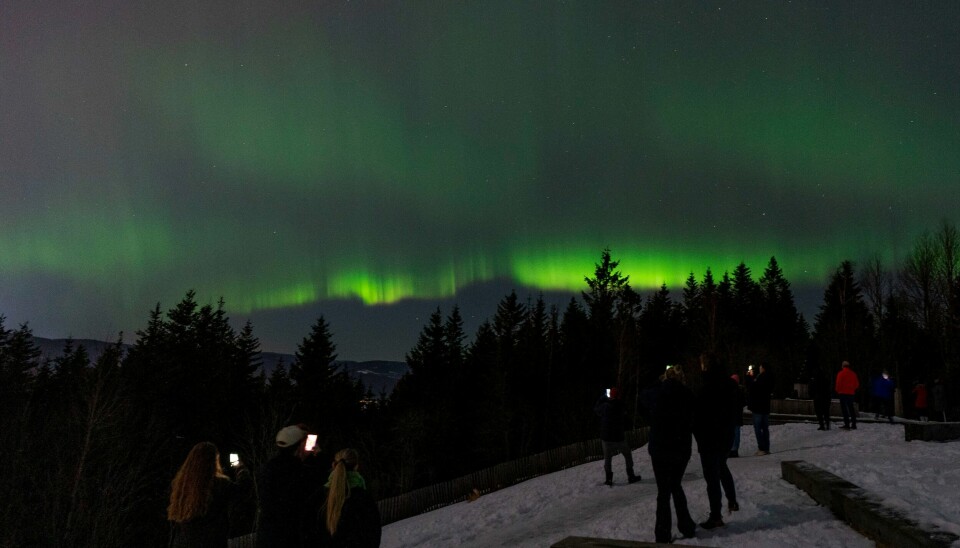 Grefsenkollen i Oslo er et av stedene der det kan bli gode muligheter for å se og fotografere nordlys denne vinteren. Mange har tatt turen til Grefsenkollen i Oslo for å se nordlyset mandag kveld. Foto: Håkon Mosvold Larsen / NTB